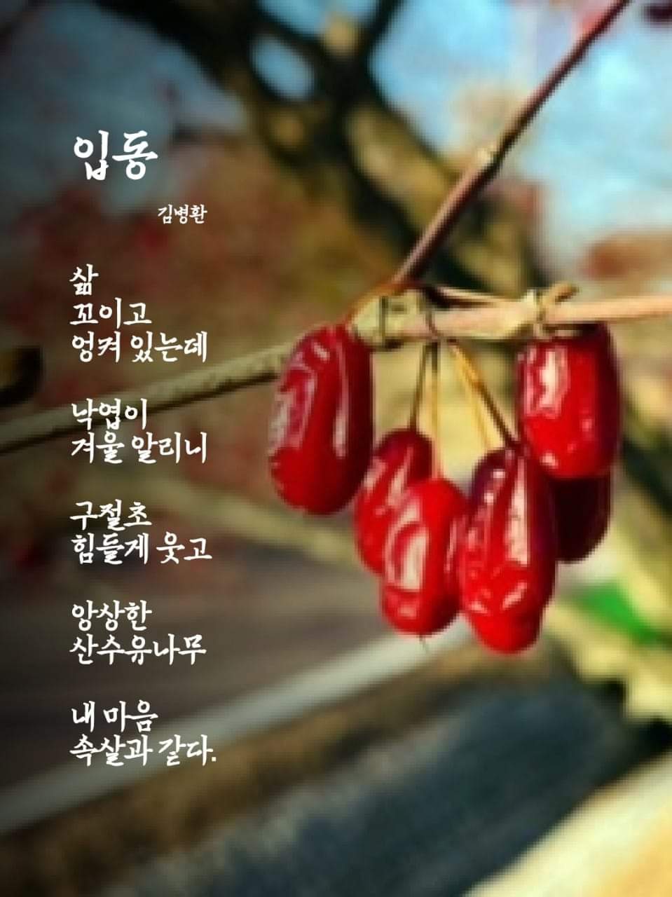 KakaoTalk_20241107_100711309.jpg