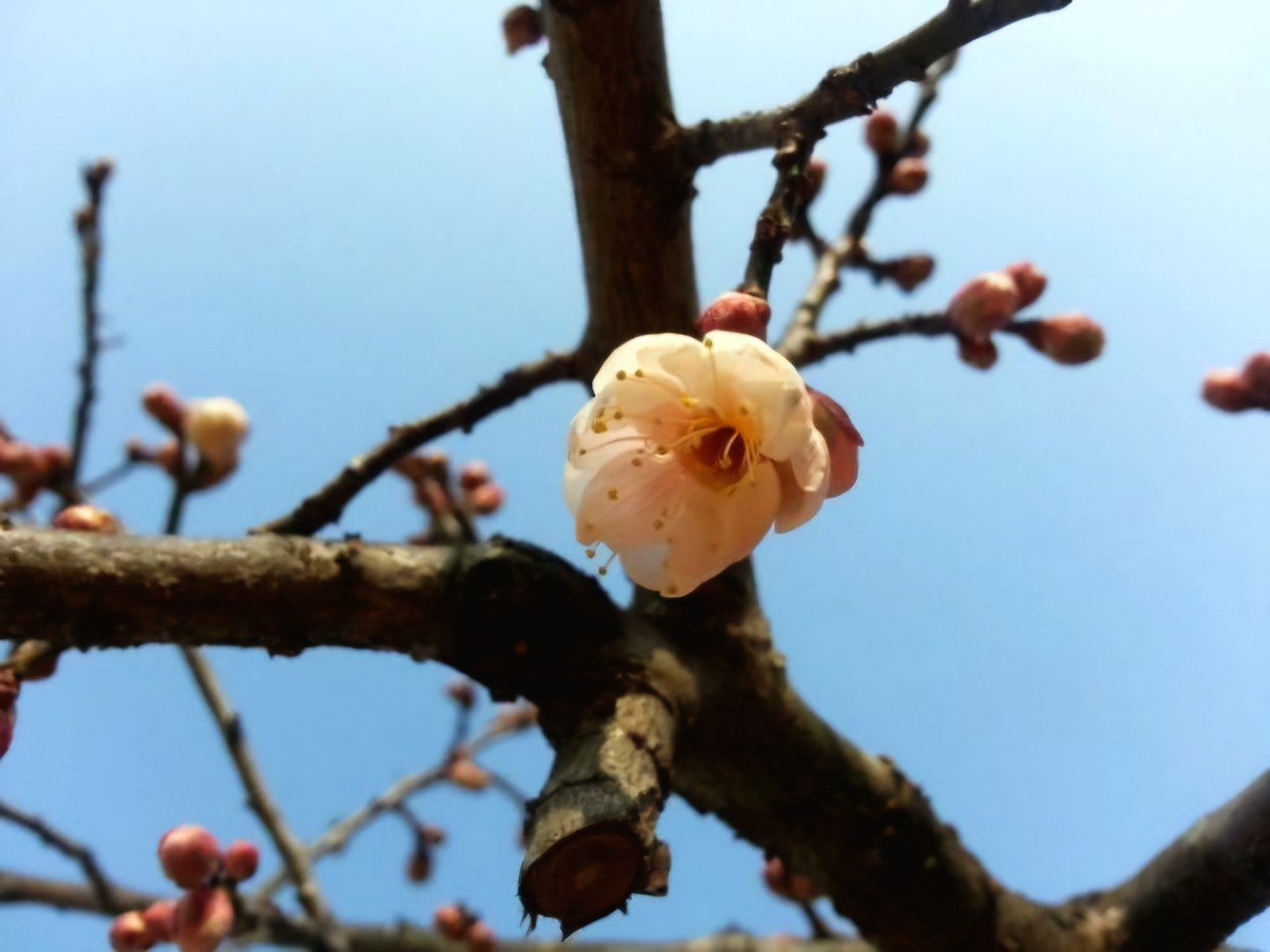 KakaoTalk_20250228_132438278.jpg