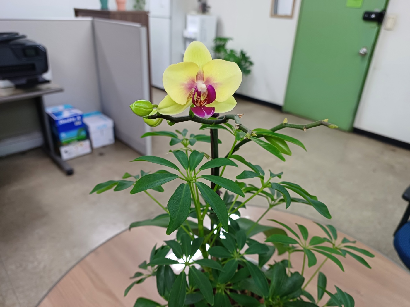 KakaoTalk_20250327_102042428_03.jpg