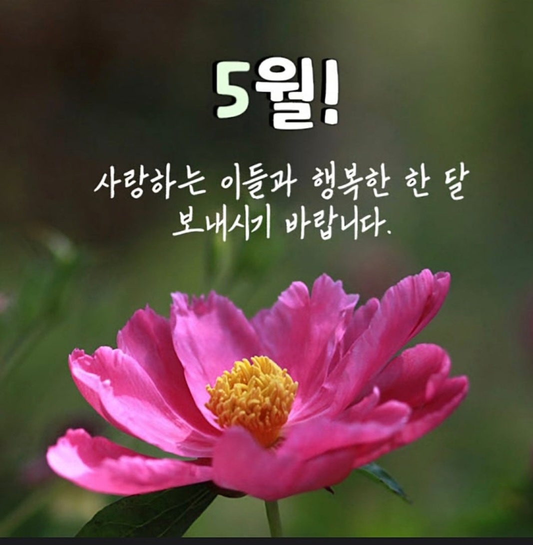 KakaoTalk_20250502_080722878.jpg
