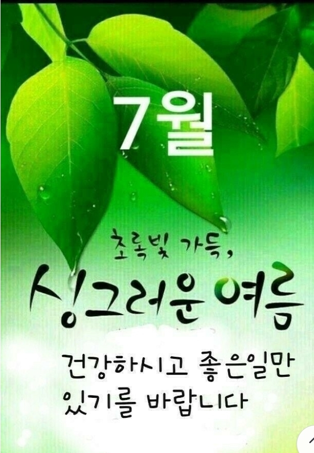 KakaoTalk_20250701_092542712.jpg