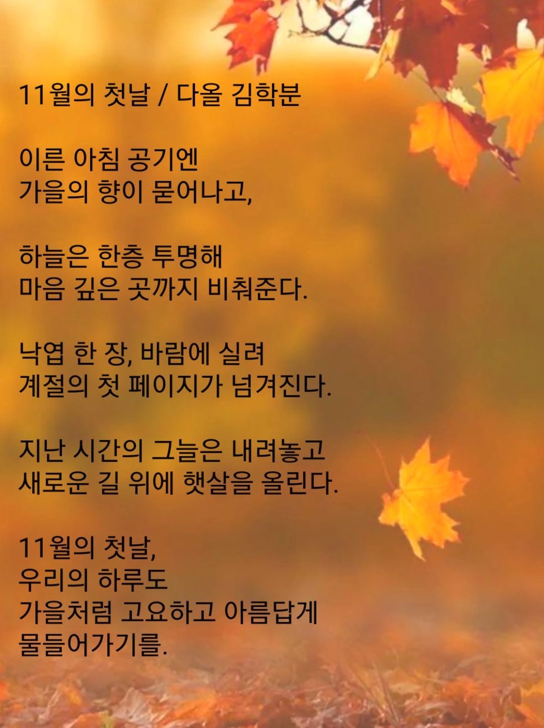 KakaoTalk_20251103_104537632.jpg