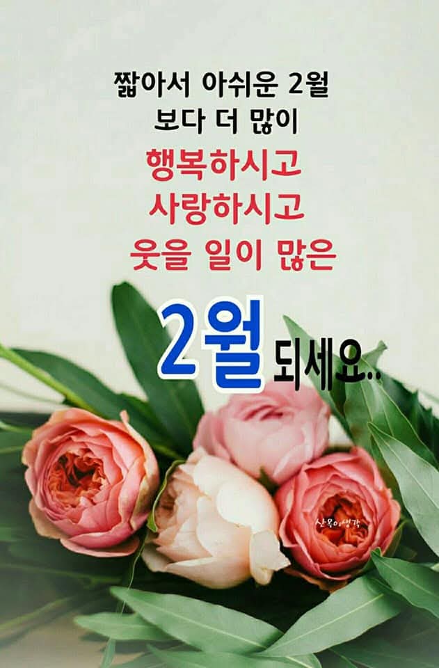 KakaoTalk_20260202_074912205.jpg